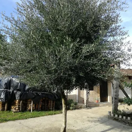 בית נופש Holiday Lugar Da Feira Coranz Salvatierra de Mino